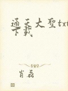 通天大圣txt下载