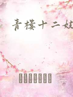 青楼十二妓