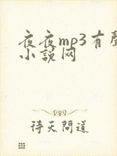 夜夜mp3有声小说网