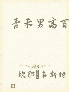 青禾男高百度云