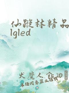 仙踪林精品zzlgled