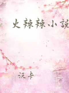 火辣辣小说全集