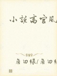 小说高官风流