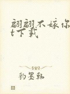 翩翩不嫁你txt下载