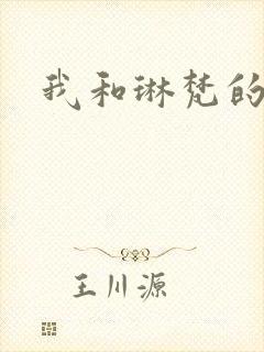 我和琳梵的故事