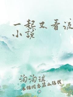 一起又看流星雨小说