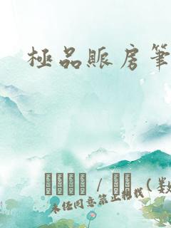 极品账房笔趣阁