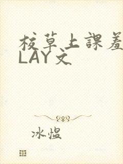 校草上课羞耻PLAY文