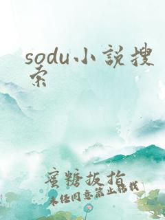 sodu小说搜索