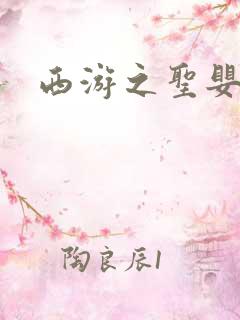 西游之圣婴大王