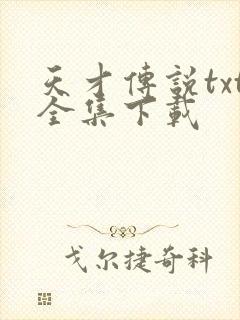 天才传说txt全集下载