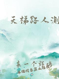 天梯路人测试器