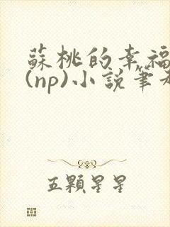 苏桃的幸福生活(np)小说笔趣阁沐沐