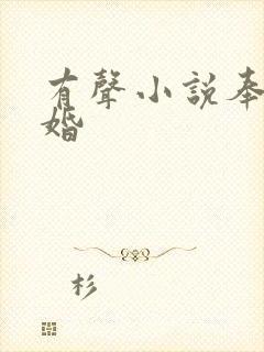 有声小说奉子成婚