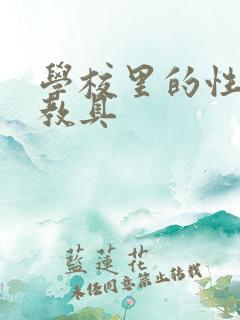 学校里的性教学教具