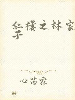 红楼之林家庶长子
