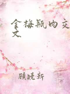 金梅瓶肉交白话文