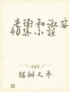 老卫和淑容1-40集小说