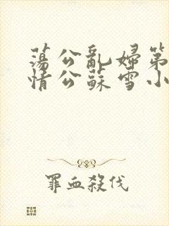 荡公乱妇第1章情公苏雪小说