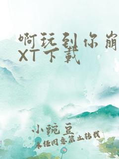 啊玩到你崩溃TXT下载