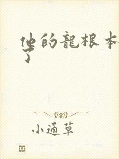 他的龙根本太大了