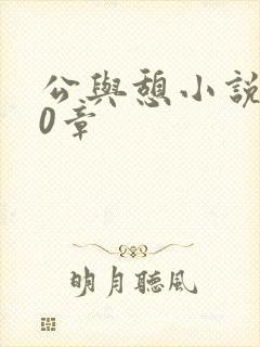 公与憩小说400章