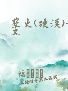 孽火(硬汉)今又