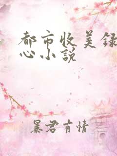 都市收美录宁素心小说