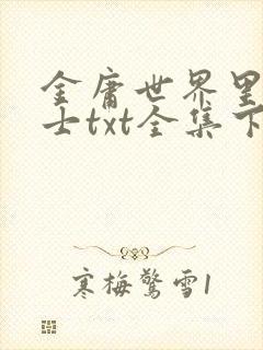 金庸世界里的道士txt全集下载