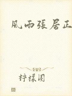 风雨张居正下载