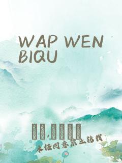 WAP WENBIQU