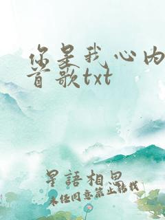 你是我心内的一首歌txt