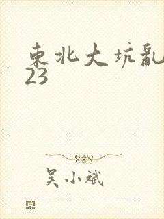 东北大坑乱1—23