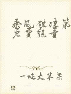 乘风破浪第五季免费观看