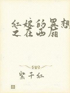 红娘的异想世界之在西厢