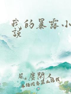 我的暴露小说小说