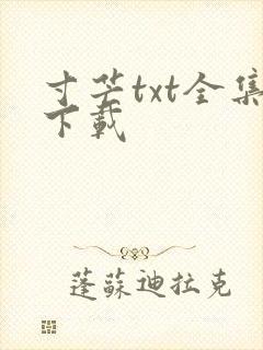 寸芒txt全集下载