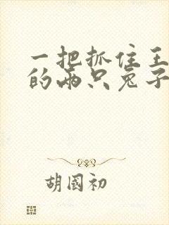 一把抓住王昭君的两只兔子