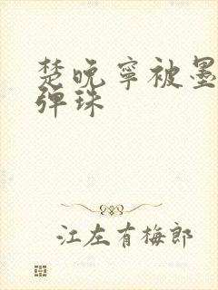 楚晚宁被墨燃塞弹珠