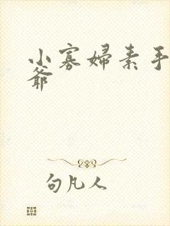 小寡妇素手擒四爷