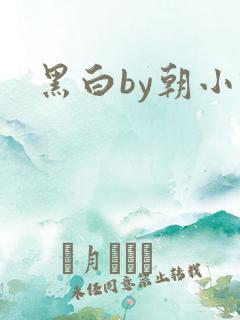 黑白by朝小诚