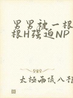 男男被一根又一根H强迫NP