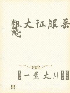 粗大征服岳女双飞