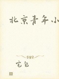 北京青年小说