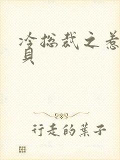 冷总裁之惹火宝贝