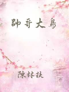帅哥大鸟