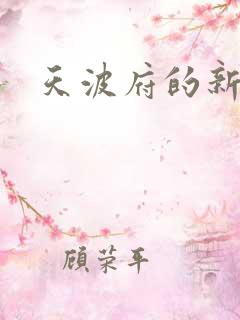 天波府的新姑爷