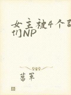 女主被4个师兄们NP