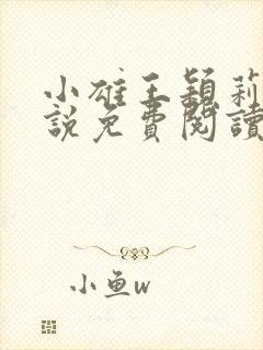 小雄王颖莉的小说免费阅读全文