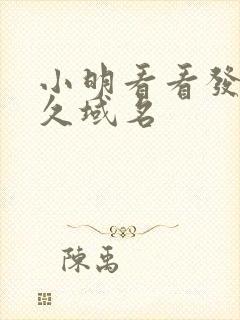 小明看看发布永久域名